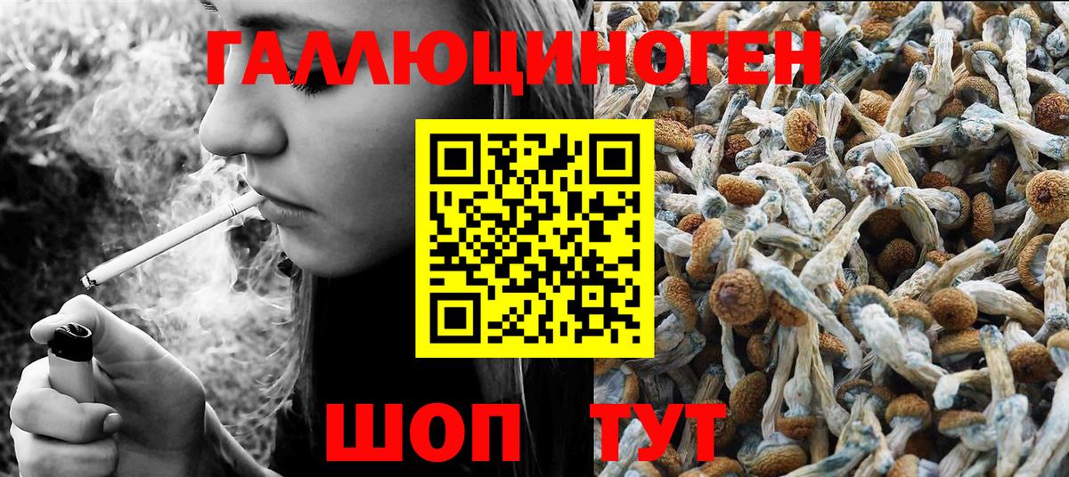 Псилоцибиновые грибы мухоморы Муром
